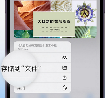 肇东apple维修中心分享iPhone文件应用中存储和找到下载文件