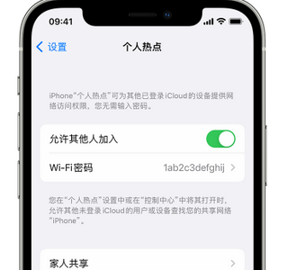 肇东apple服务站点分享iPhone上个人热点丢失了怎么办 