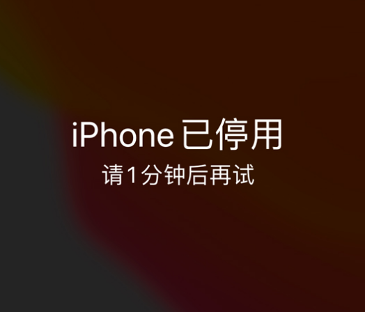 肇东苹果手机维修分享:iPhone 显示“不可用”或“已停用”怎么办？还能保留数据吗？ 