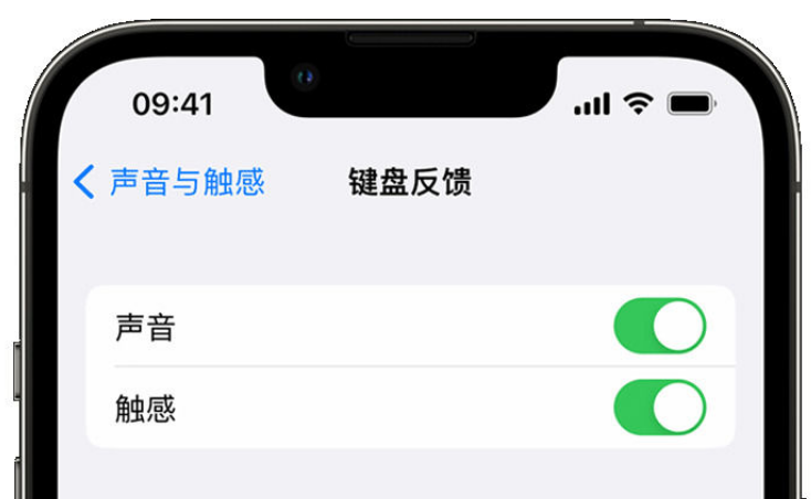 肇东苹果手机维修分享iPhone 14触感键盘使用方法 