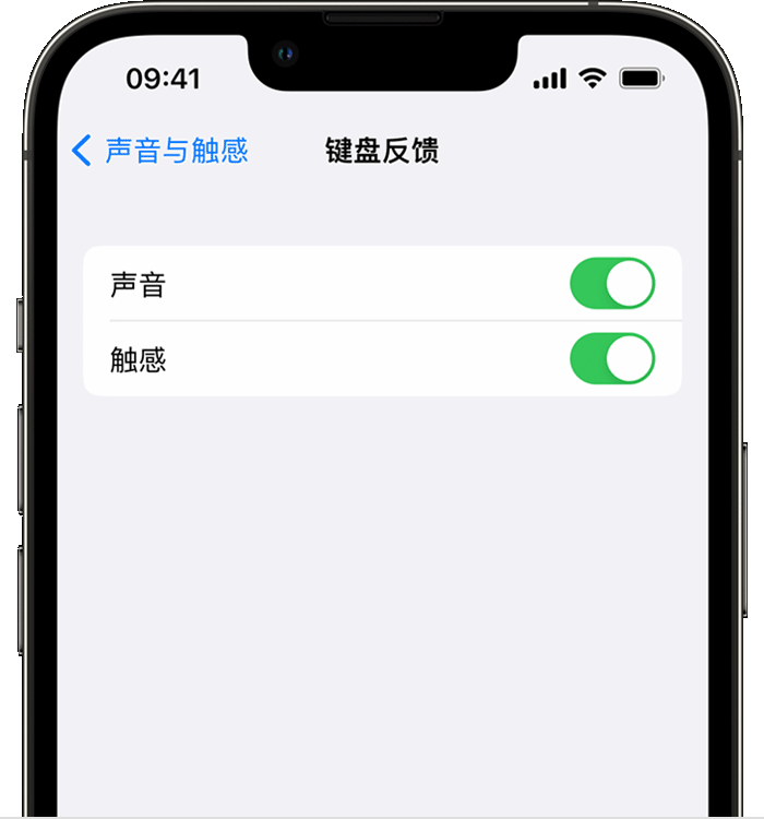 肇东苹果14维修店分享如何在 iPhone 14 机型中使用触感键盘 