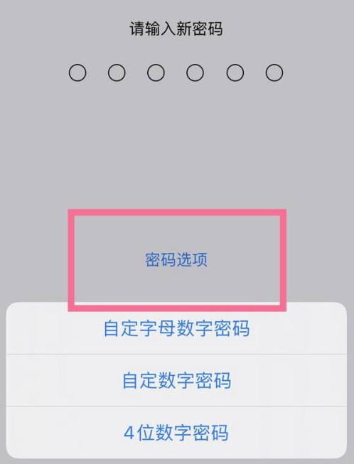 肇东苹果14维修分享iPhone 14plus设置密码的方法 