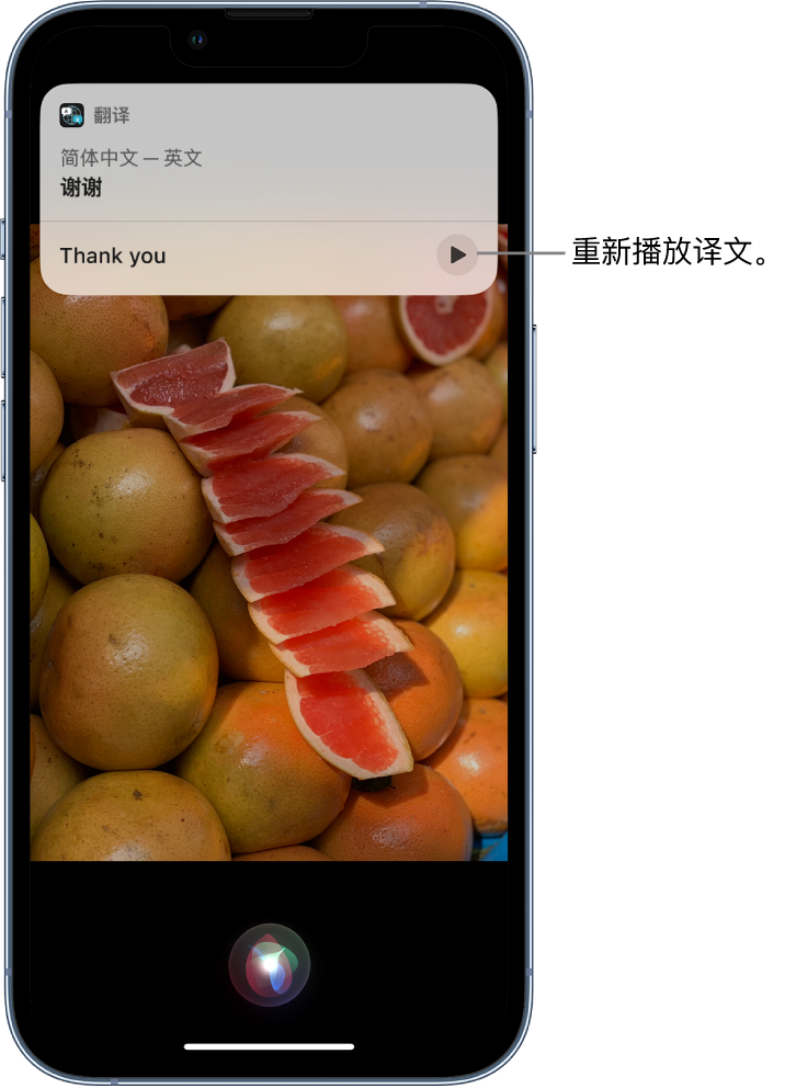 肇东苹果14维修分享 iPhone 14 机型中使用 Siri：了解 Siri 能帮你做什么 