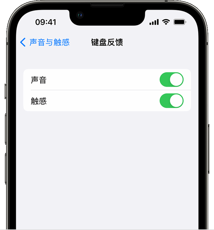 肇东苹果14维修分享iPhone 14 系列机型如何开启键盘声音或触感反馈 