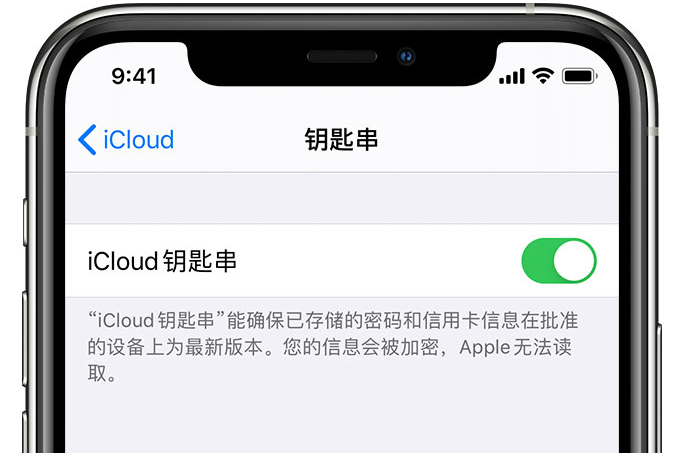 肇东苹果手机维修分享在 iPhone 上开启 iCloud 钥匙串之后会储存哪些信息 