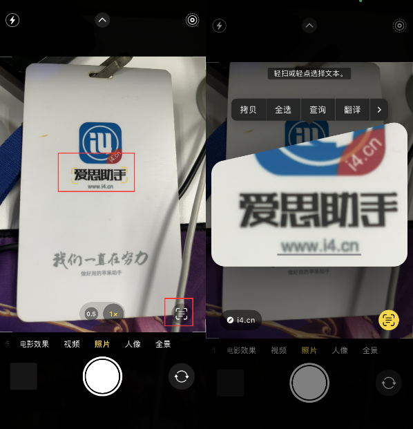 肇东苹果手机维修分享升级iOS 16后如何通过相机翻译文本 