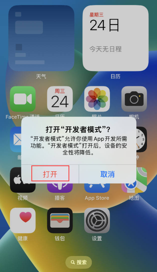 肇东苹果手机维修分享如何打开开发者模式 