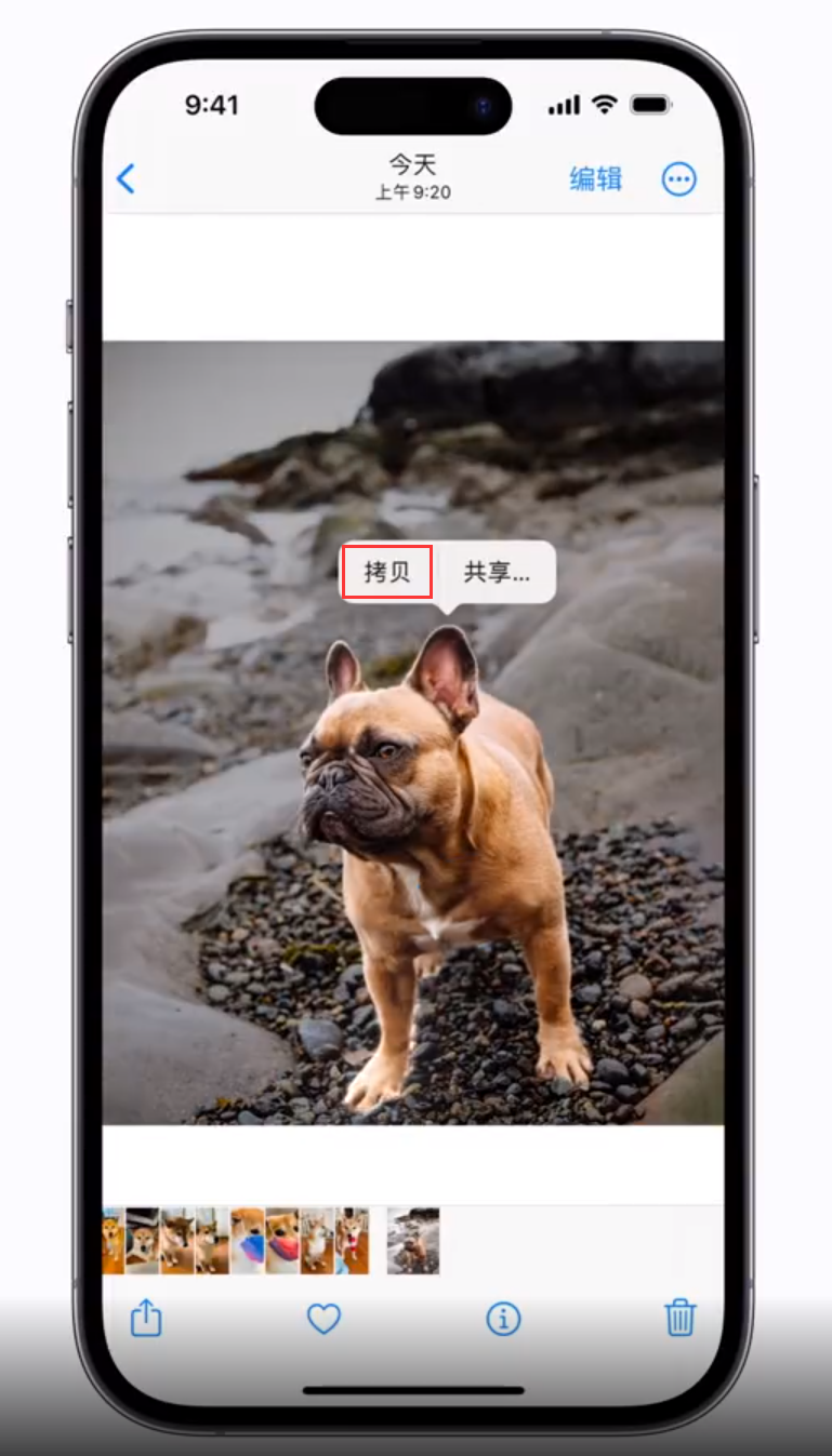 肇东苹果手机维修分享 iOS 16 自带一键抠图功能 