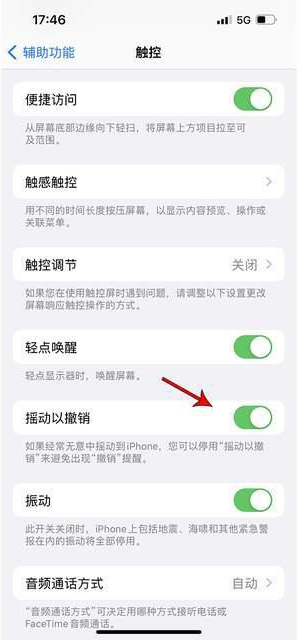 肇东苹果手机维修分享iPhone手机如何设置摇一摇删除文字 