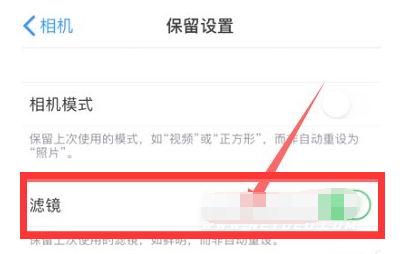 肇东苹果13维修分享iPhone13拍照有绿点是怎么回事 