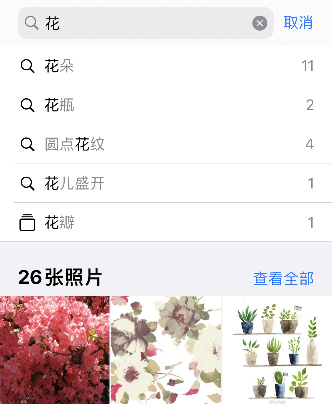 肇东苹果手机维修分享iPhone 小技巧 