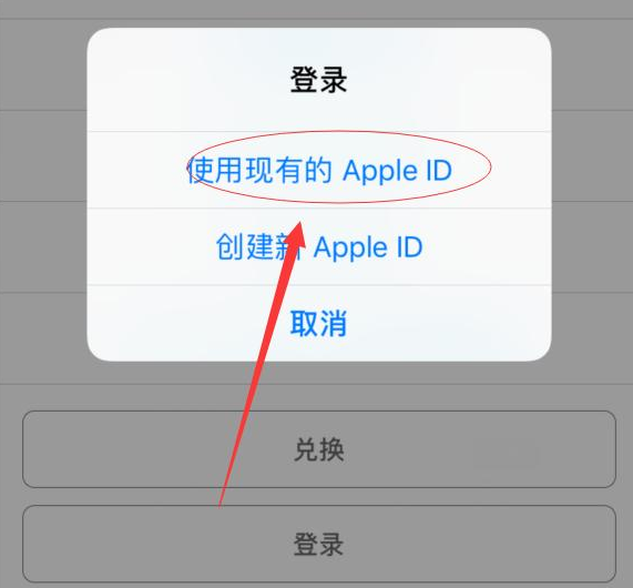 肇东苹果手机维修分享两台iPhone设备可以同时登录一个Apple ID吗 