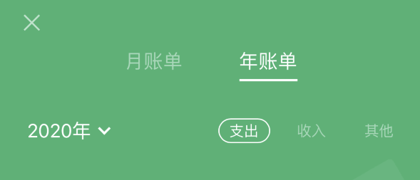 肇东苹果手机维修分享如何在 iPhone 上查看支付宝和微信年支出账单 