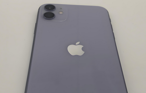 肇东苹果11系统维修分享iPhone11手机系统崩溃无法开机如何解决 